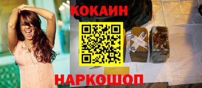 дживик Шелехов