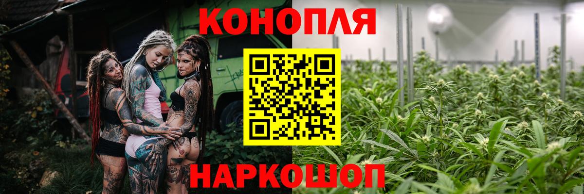 Шишки марихуана Bruce Banner  Конопля индика  Бошки Шишки конопля  Благодарный  Вход с VPN 